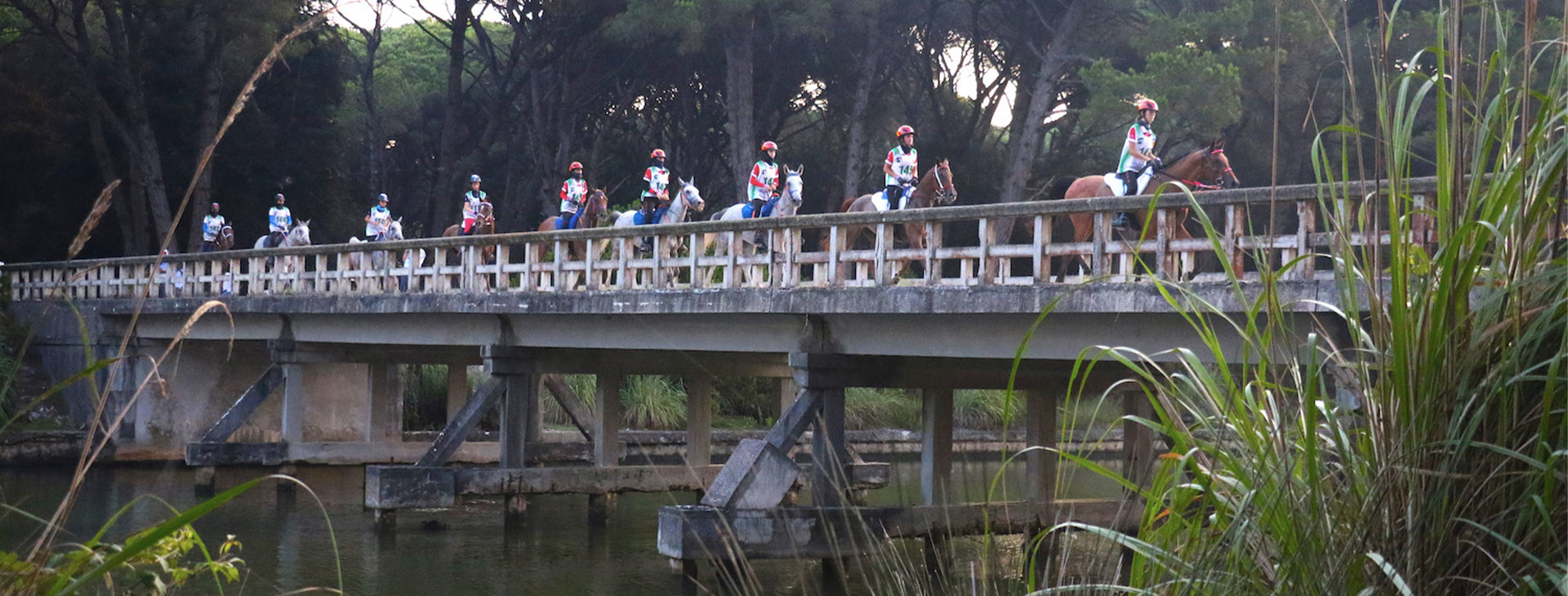 PISA BECOMES GLOBAL WITH THE LONGINES FEI ENDURANCE WORLD CHAMPIONSHIP 2021