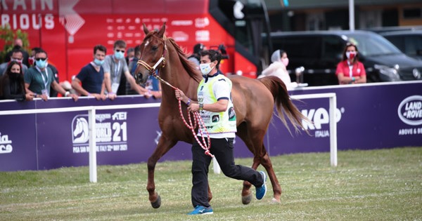 Sponsorship opportunity