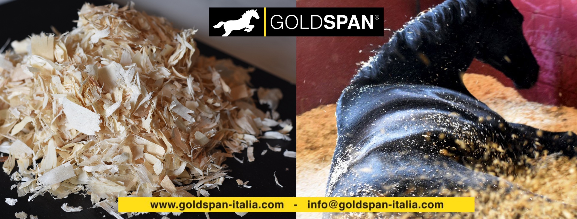 Goldspan Italia è Supporter Sponsor del Longines FEI Endurance World Championship